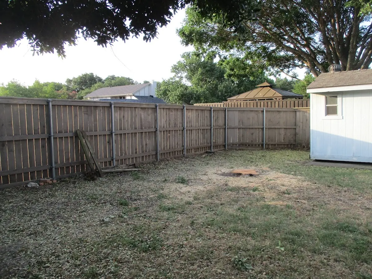 Cleared yard after professional tree removal in East Meredith